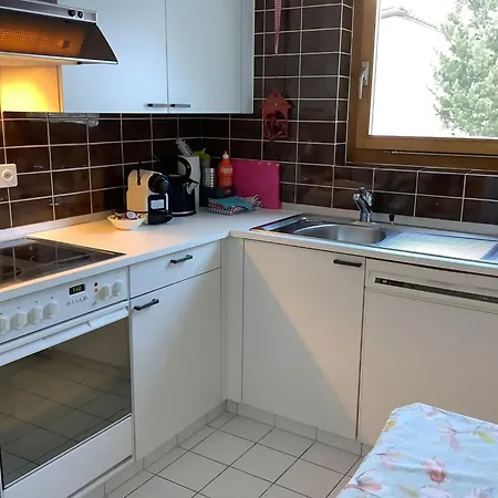 Chesa Auicula By Interhome Apartment *