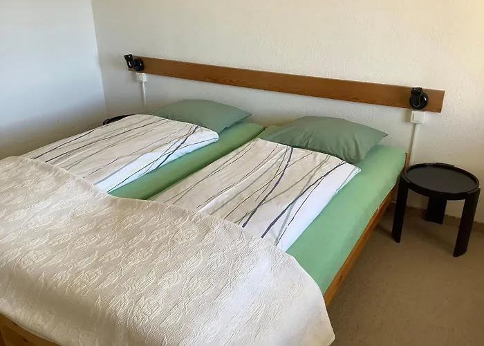 Appartement Chesa Auicula By Interhome Pontresina