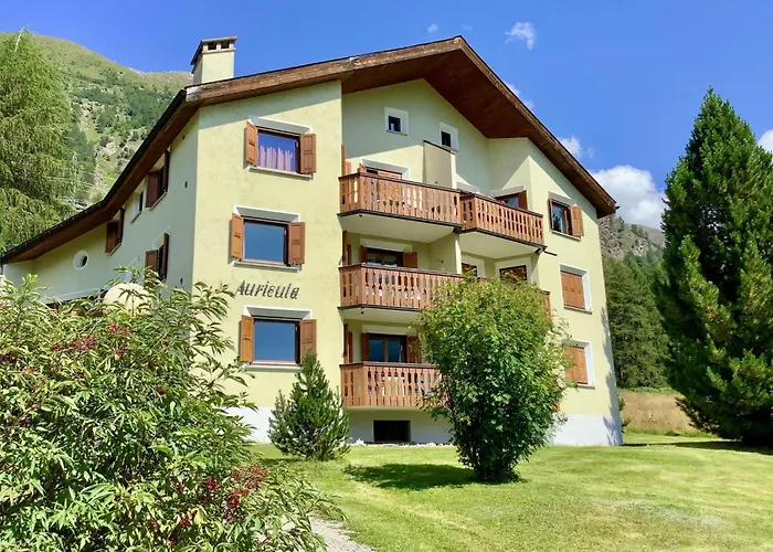 Apartment Chesa Auicula By Interhome Pontresina